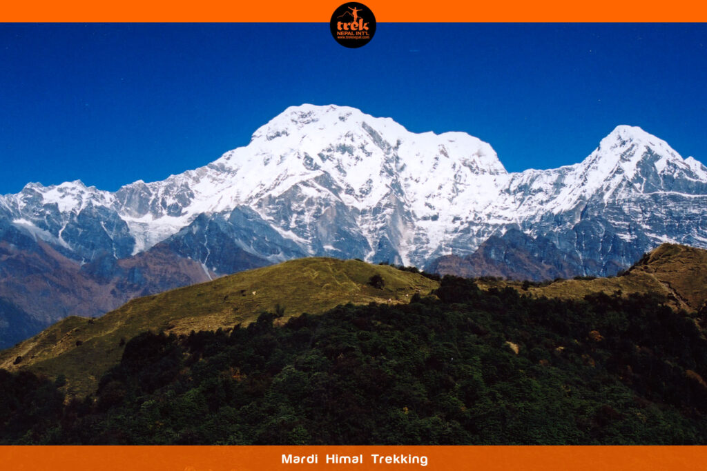 mardi himal trekking