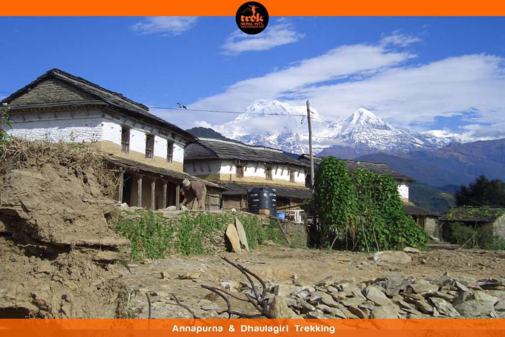 annapurna and dhaulagiri trekking