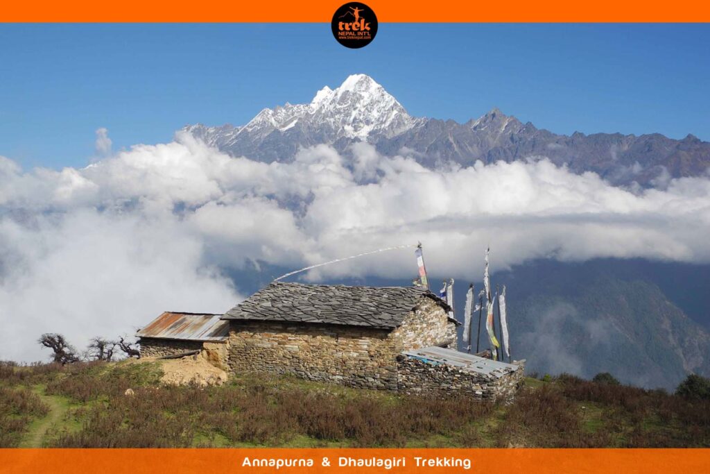 annapurna and dhaulagiri trekking