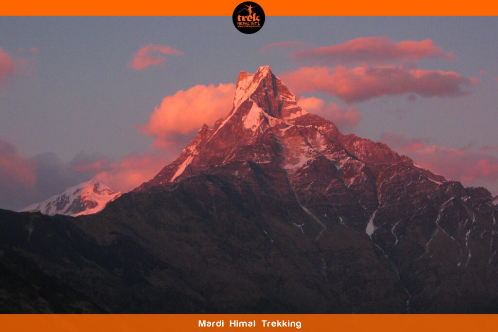 mardi himal trekking