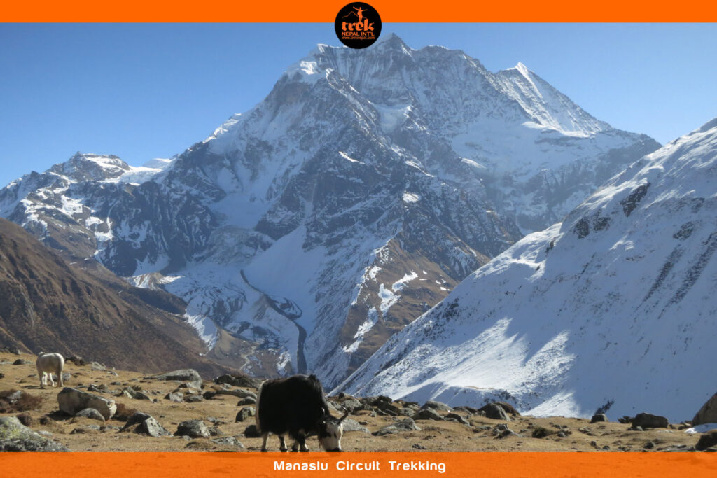 manaslu circuit trekking